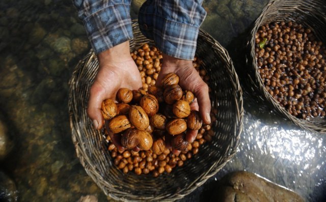 Izbegavajte ove orašaste plodove, posebno su opasni za decu i trudnice